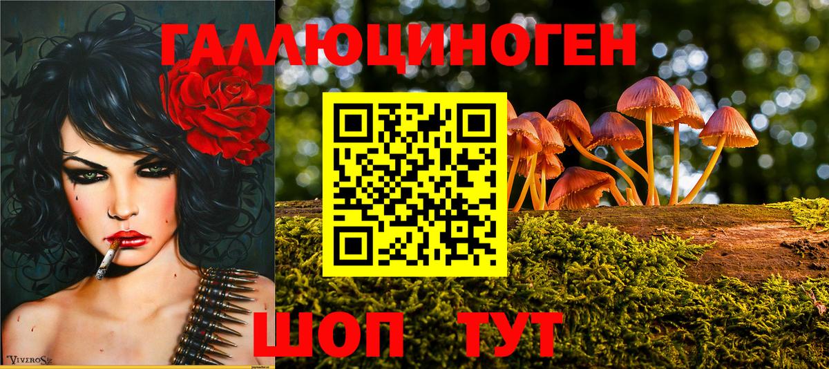 Галлюциногенные грибы MAGIC MUSHROOMS  Галлюциногенные грибы Magic Shrooms  Вход с VPN  Псков 