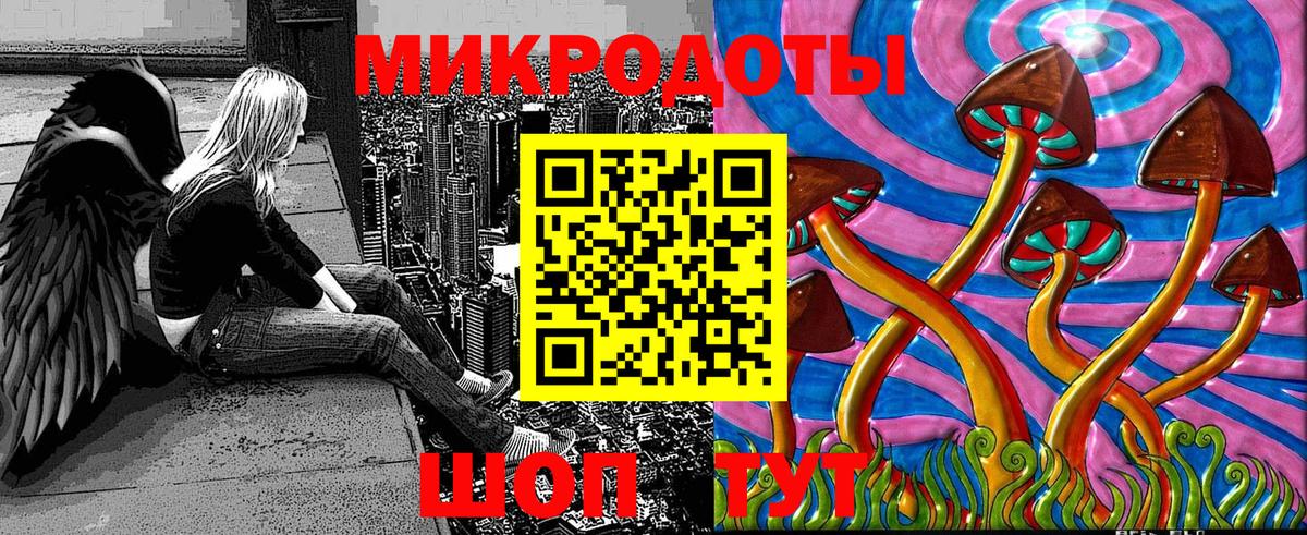 Галлюциногенные грибы Psilocybe Псков